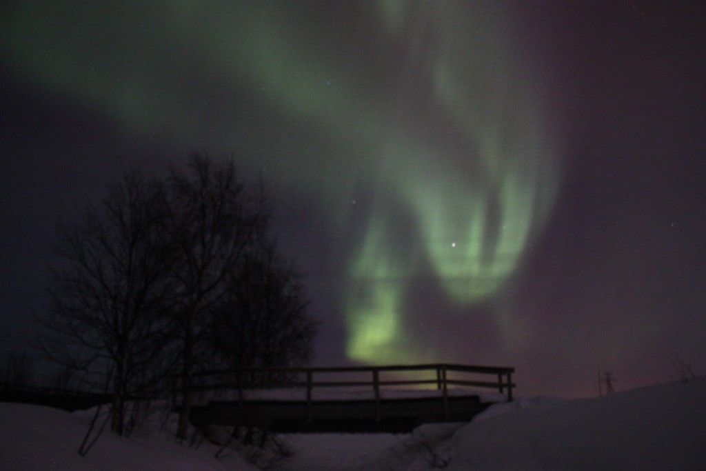 Aurora boreal Rovaniemi marzo