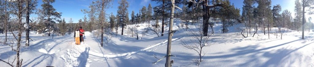Raquetas de nieve en Saariselkä