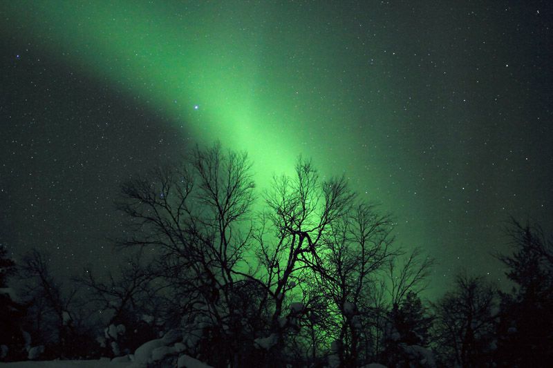 Aurora boreal, Saariselkä, Finlandia