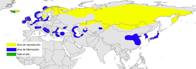 Mapa del habitat del cisne-cantor blanco