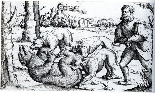 Caza del oso entre los años 1520 y 1553.