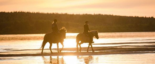 Paseo a caballo a orillas del río Ounasjoki 
