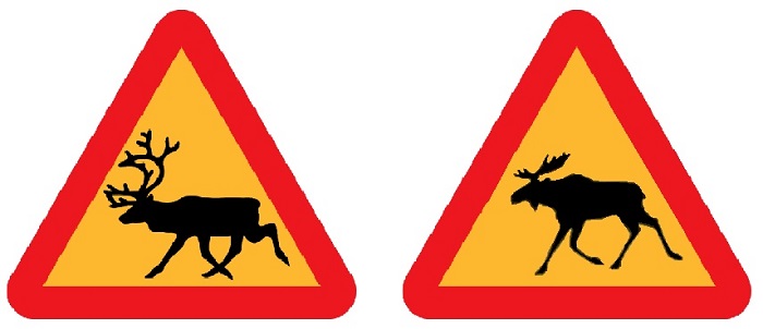 En las carreteras de Finlandia abundan las señales de peligro de renos y alces