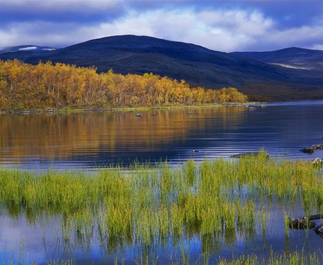 El otoño en el lago Kilpisjärvi 