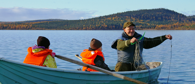 Recogiendo la red de pescar en el río Tornionjoki muy cerca de Ylitornio 