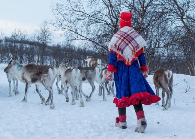 Mujer Sami con sus renos cerca del pueblo de Ivalo 