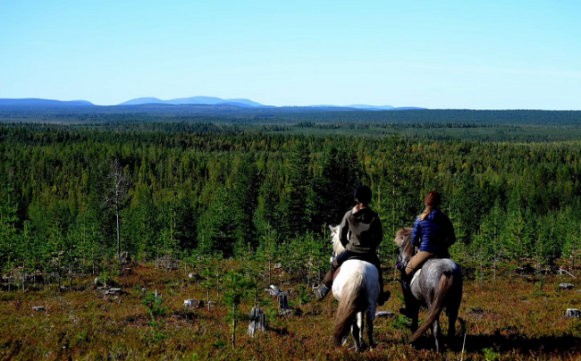 Espectacular-vista-de-Laponia-durante-una-excursión-a-caballo_fotoLapinSaaga