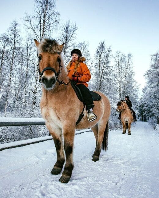 Excursión-a-caballo-en-Laponia-durante-el-invierno_fotoApukkaResort