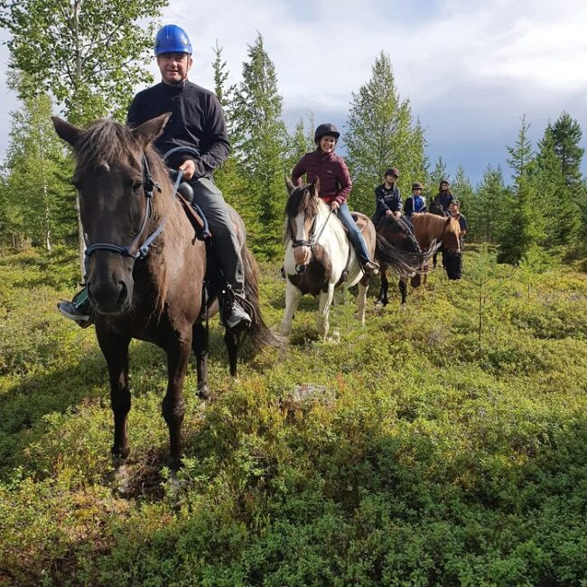 Excursión-a-caballo-en-Laponia-durante-el-verano_fotoEraratsut