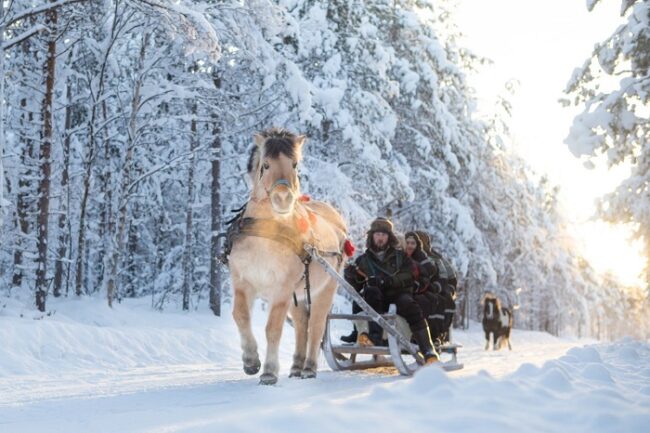 Excursión-en-invierno-en-trineo-tirado-por-un-caballo-islandés_fotoApukkaResort
