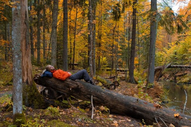 Descanso-en-un-bosque-de-Finlandia-durante-el-otoño_fotoToniPanula-VisitFinland