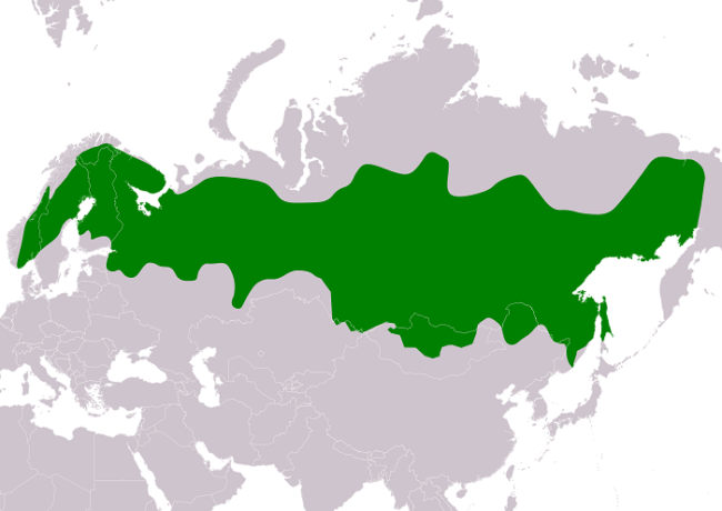 Distribución-del-Arrendajo-Siberiano_fotoAlexanderKürthy-Wikipedia