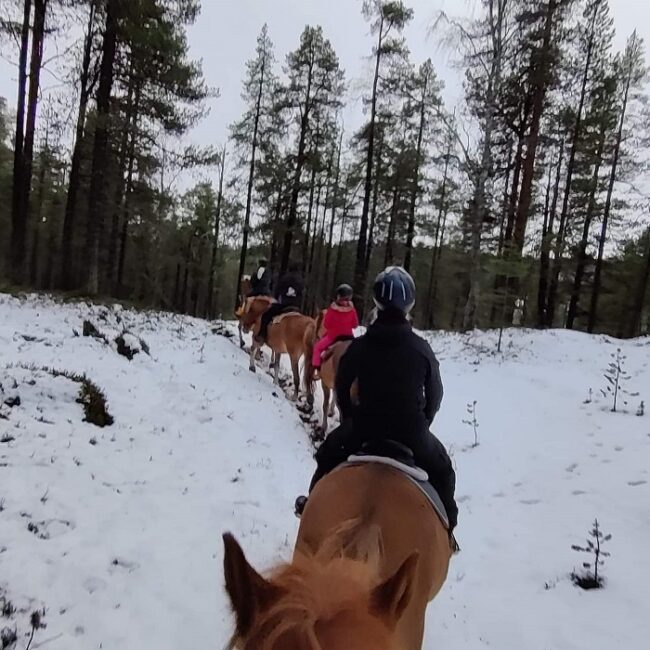Excursión-con-caballos-en-Saariselkä_fotoSaariselkä-PolarisPointHorses