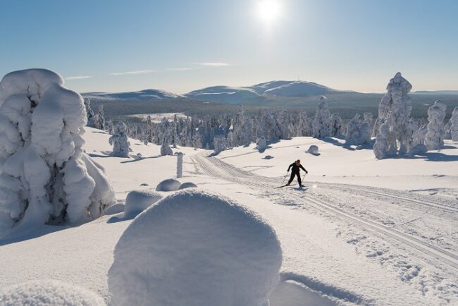 Pista-de-esquí-de-fondo-de-la-estación-de-esquí-de-Ylläs-Al-fondo-la-cima-de-Ylläs_fotoVisitYlläs