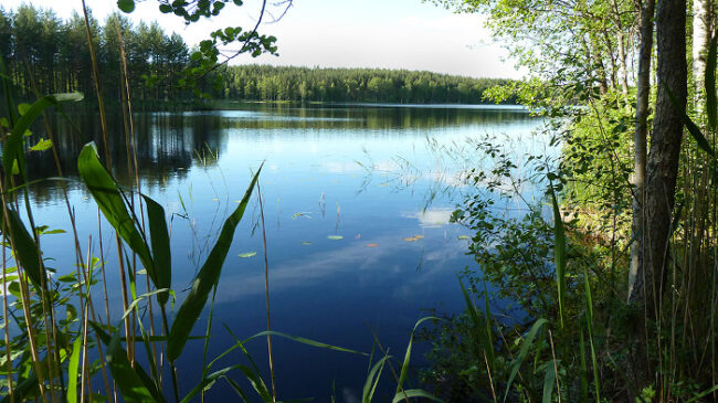 El-lago-Niemisjärvi-en-Evo_fotoSMHiukkamaki-NationalParks