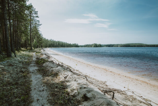 Una-de-las-playas-del-lago-Suomunjärvi-en-el-Parque-Nacional-de-Patvinsuo_fotoInTheWoodsDear