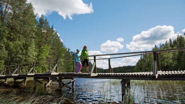 Puente-en-el-Parque-Nacional-de-Isojärvi_fotoSannamariRatilainen-NationalParks