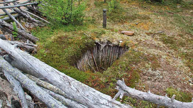 Trampa-en-Laponia-usada-por-los-Sami-para-cazar-renos_fotoMaaritKyostila-NationalParks