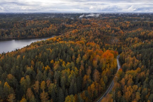 Los-colores-del-otoño-en-Laponia_fotoToniPanula-VisitFinland