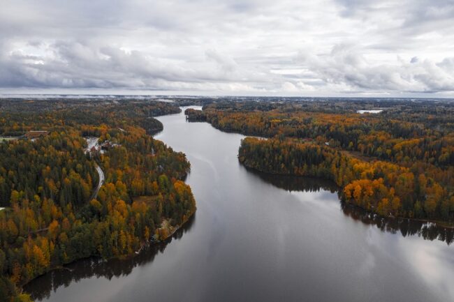 Vista-aérea-del-bosque-de-Laponia-en-otoño_fotoToniPanula-VisitFinland