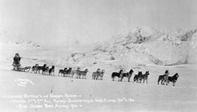 El-equipo-de-huskies-siberianos-de-Leonhard-Seppala-ganador-de-la-carrera-All-Alaska-Sweepstakes-en-1915-y-1916_fotoLomenBros-Wikipedia