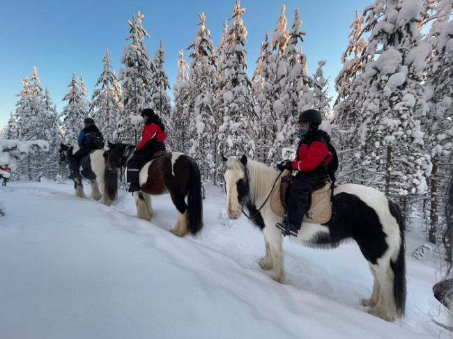 Participantes-bien-abrigados-durante-una-excursión-con-caballos-Irish-Cob-en-Laponia_fotoNordicTravels