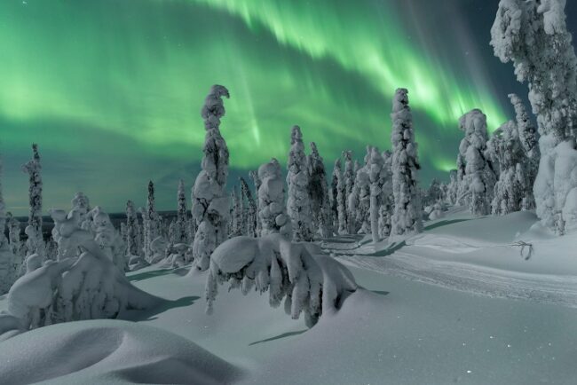 Aurora-Boreal-iluminando-el-bosque-de-Laponia_fotoThomasKast-VisitFinland