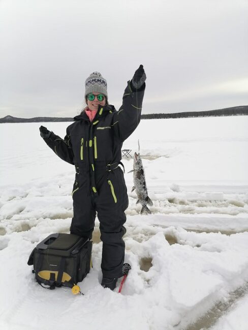 Un-pequeño-Lucio-perca-pescado-en-Laponia-durante-el-invierno_fotoArcticAttitude