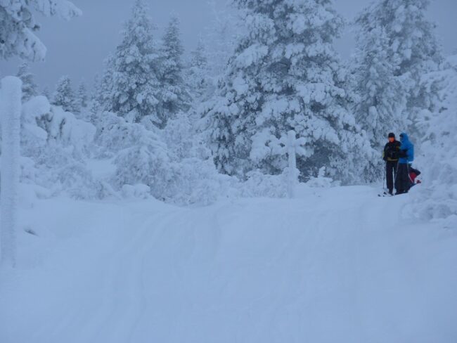 Travesía-con-esquís-en-el-Parque-Nacional-Urho-Kekkonen_fotoÀlexS.Casanovas